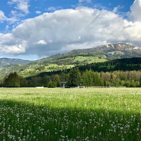 Traumhafte Wohnung Auf Pferde Ranch Aich  Luaran gambar