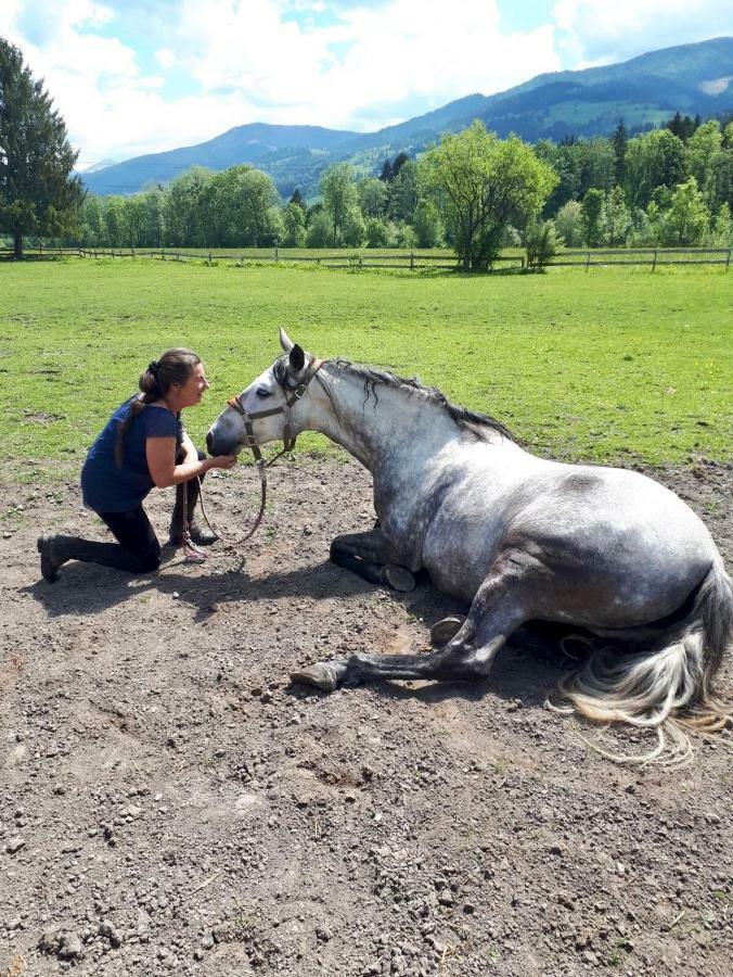 Traumhafte Wohnung Auf Pferde Ranch Aich  Luaran gambar